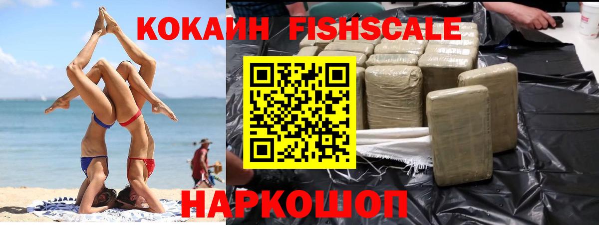 Cocaine  Вход с VPN  Заводоуковск  Кокаин Fish Scale 