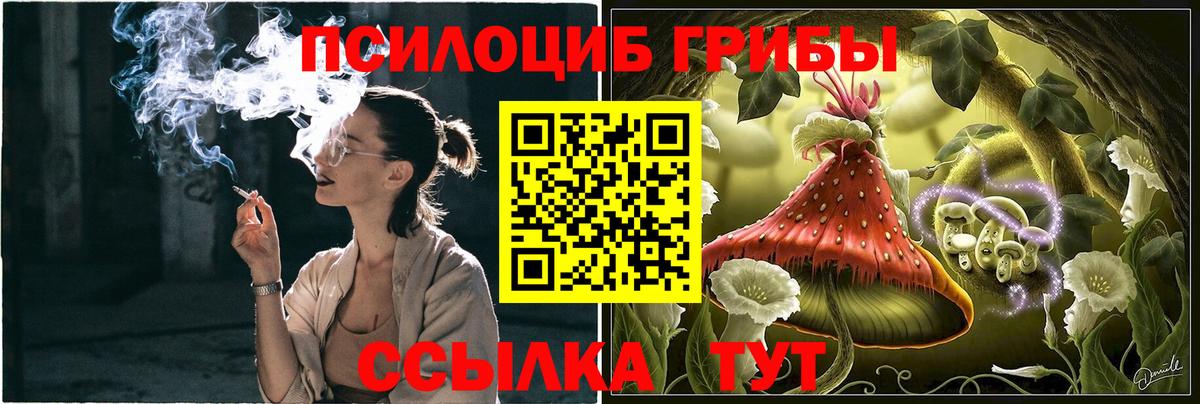 Псилоцибиновые грибы GOLDEN TEACHER  Вход с VPN  Заводоуковск 